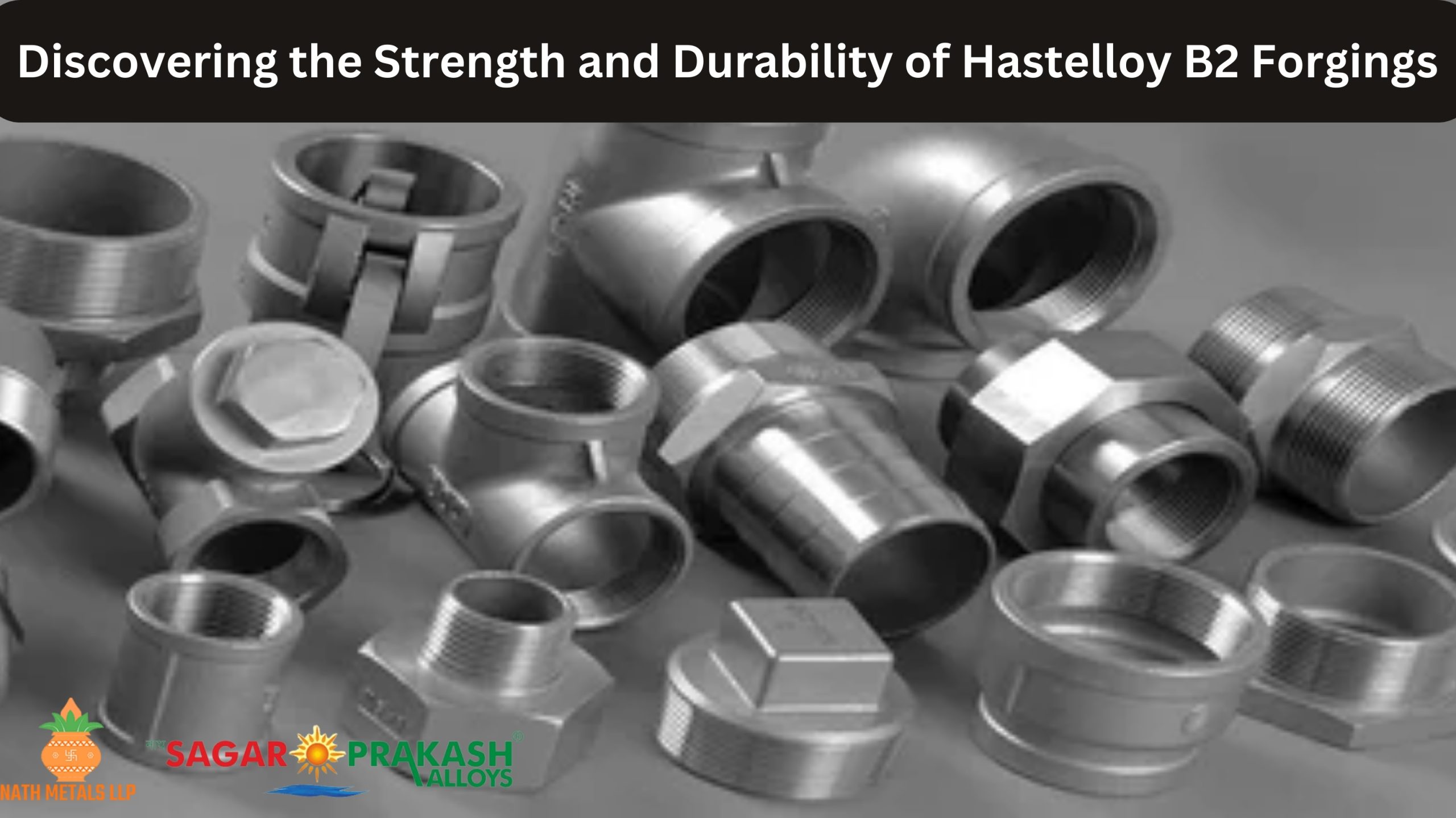 Hastelloy b2 Forgings