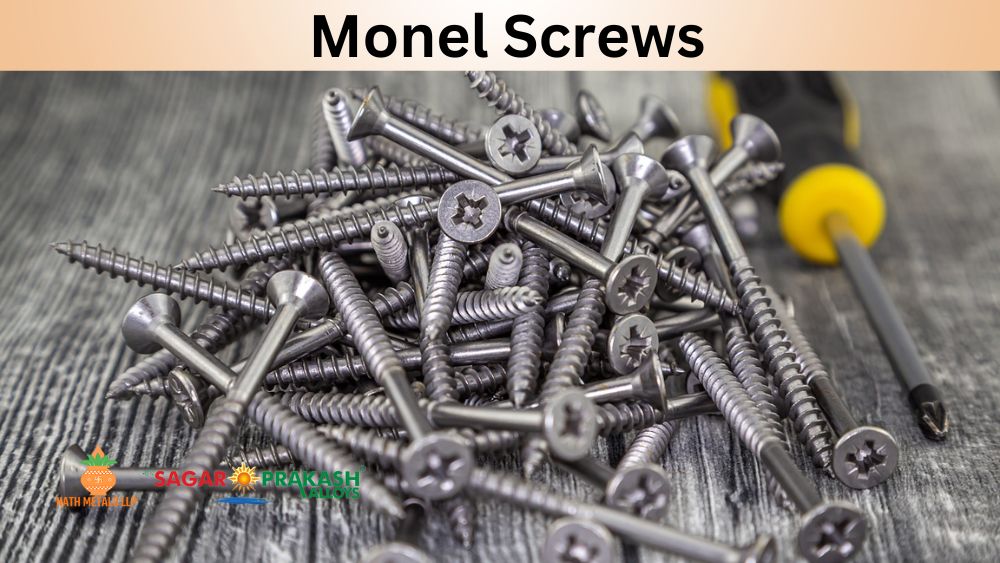 Monel Screws