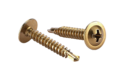 Bronze Screws