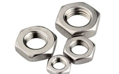Stainless Steel 317L Hex Nuts