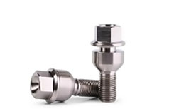 Stainless Steel 317 Lug Bolts