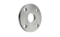 SS 303 Plate Flange